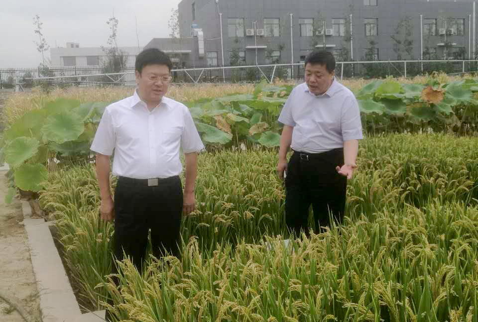 尊龙凯时人生就是搏(中国区)官方网站
