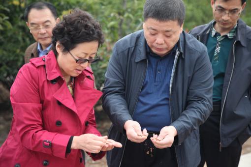 尊龙凯时人生就是搏(中国区)官方网站