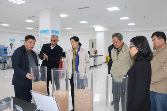 尊龙凯时人生就是搏(中国区)官方网站