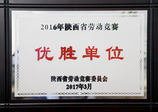 尊龙凯时人生就是搏(中国区)官方网站