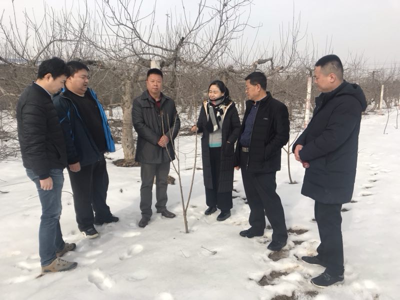 尊龙凯时人生就是搏(中国区)官方网站