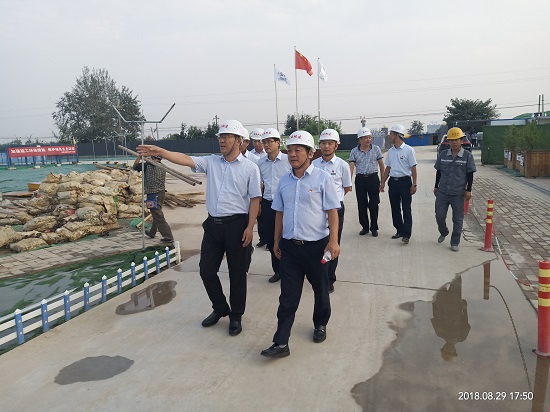 尊龙凯时人生就是搏(中国区)官方网站