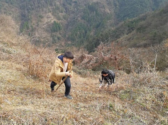 尊龙凯时人生就是搏(中国区)官方网站
