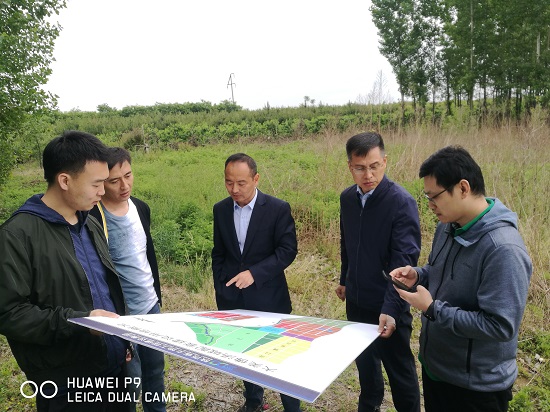 尊龙凯时人生就是搏(中国区)官方网站