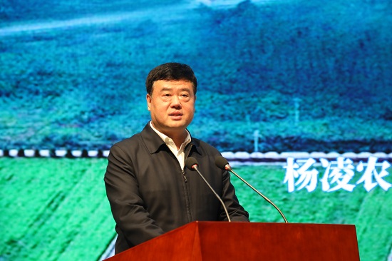 尊龙凯时人生就是搏(中国区)官方网站