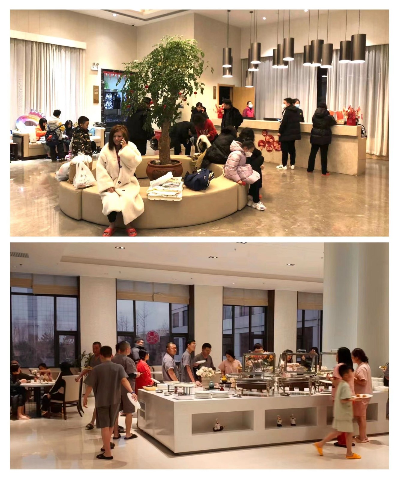 地建各大旅馆春节假期接待量已超万余人次 -  尊龙凯时