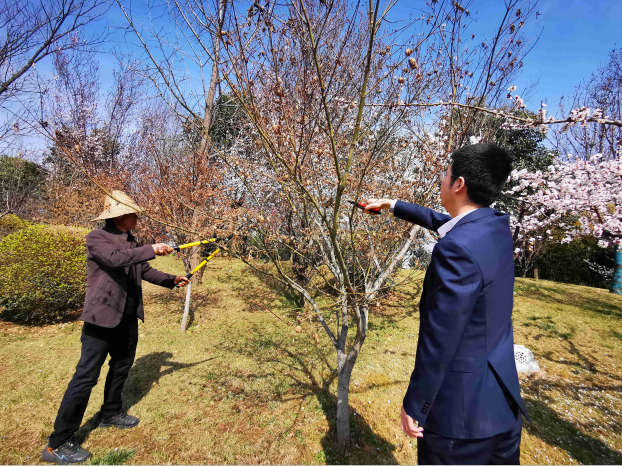 地建研究院组织开展植树护绿运动 -  尊龙凯时