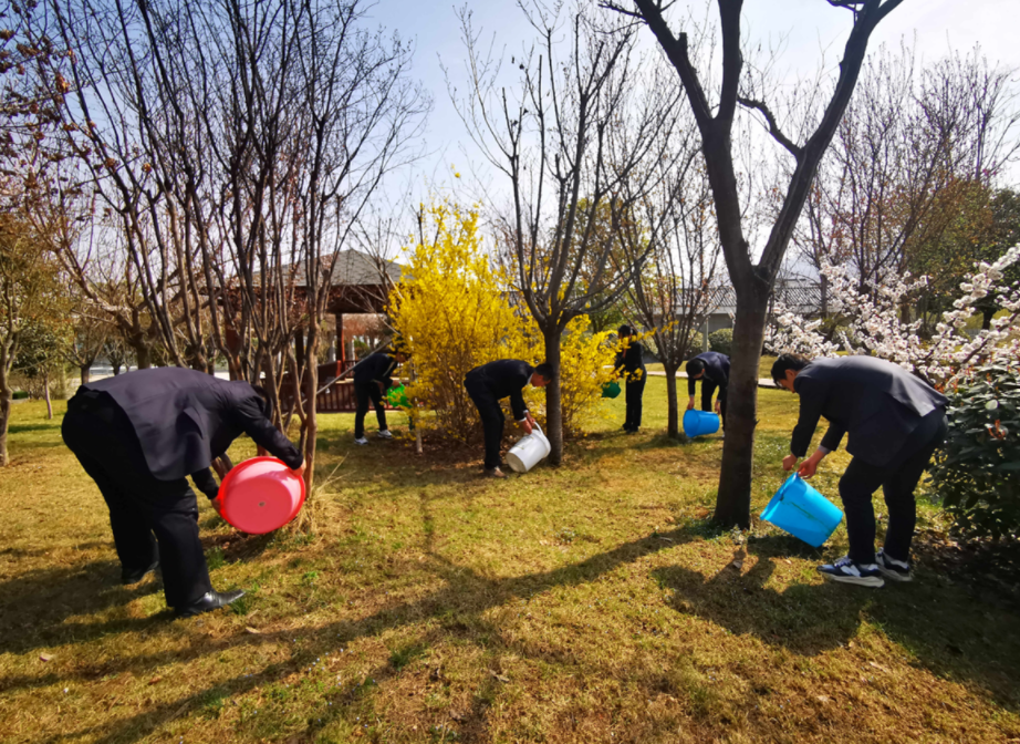 地建研究院组织开展植树护绿运动 -  尊龙凯时