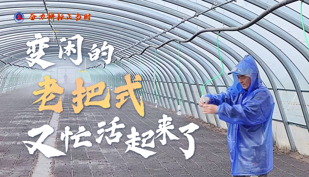 习近平总书记关切事|奋力耕作正其时——农业强国建设一线的四个故事 -  尊龙凯时