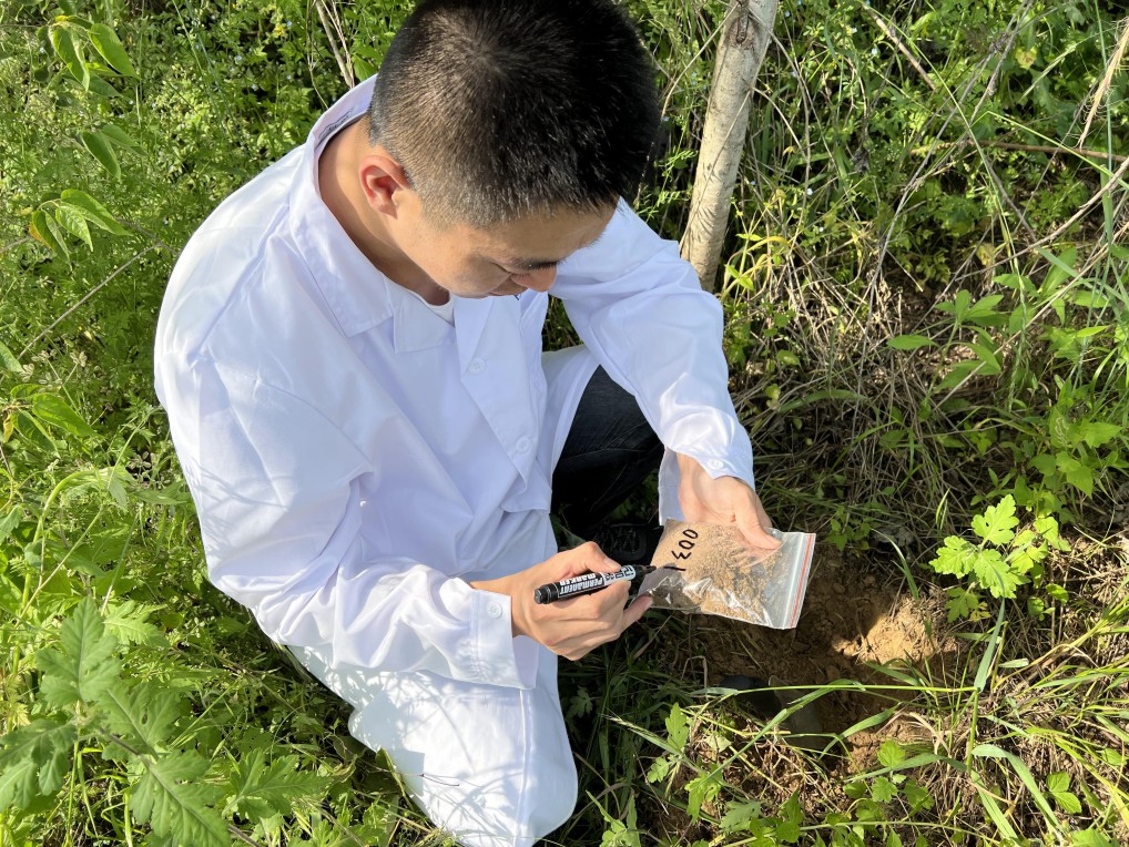 藏粮于地 藏粮于技 尊龙凯时